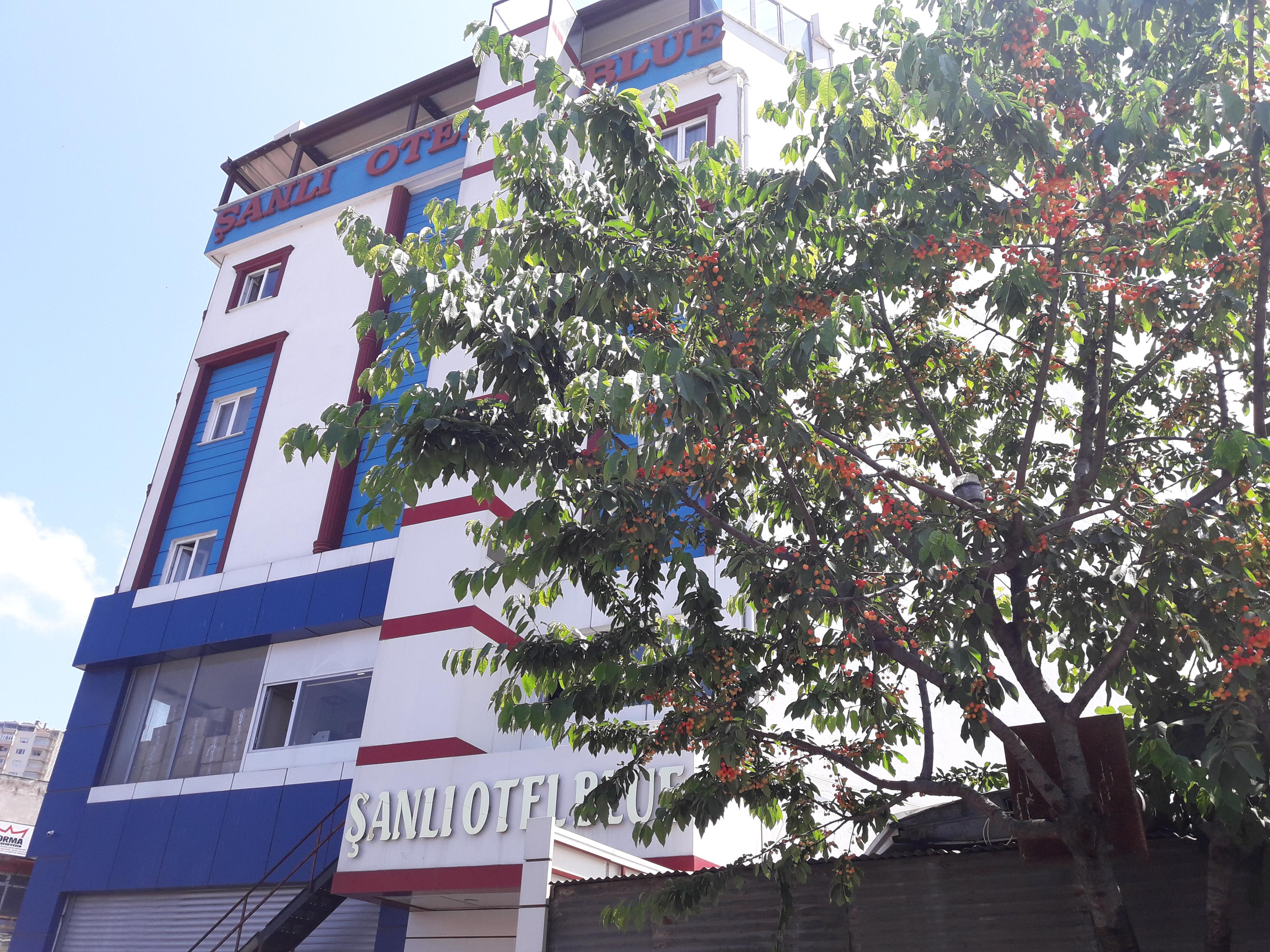 Sanli Hotel Blue Τραμπζόν Εξωτερικό φωτογραφία
